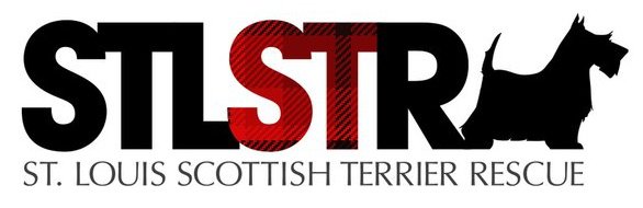 STLSTR LOGO